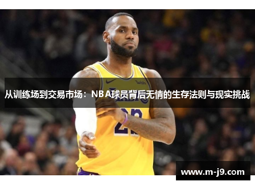从训练场到交易市场:NBA球员背后无情的生存法则与现实挑战 从训练场到交易市场:NBA球员背后无情的生存法则与现实挑战