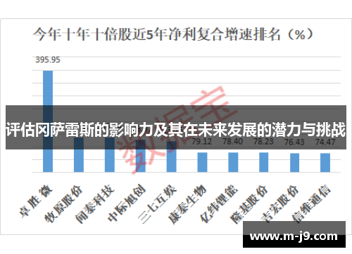 评估冈萨雷斯的影响力及其在未来发展的潜力与挑战 评估冈萨雷斯的影响力及其在未来发展的潜力与挑战