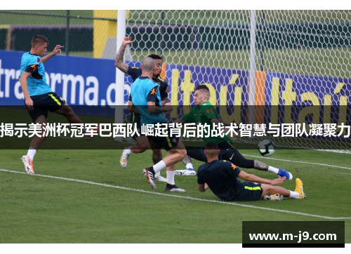 揭示美洲杯冠军巴西队崛起背后的战术智慧与团队凝聚力